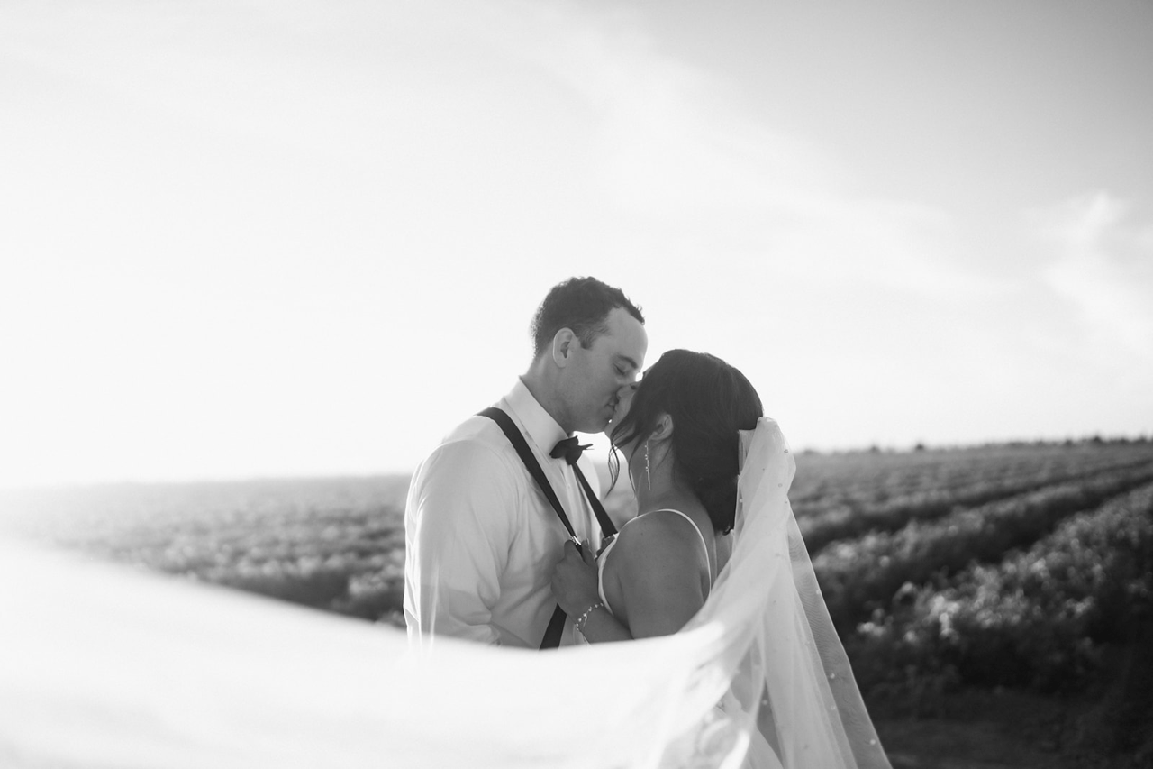 Yolanda Ranch portfolio 5