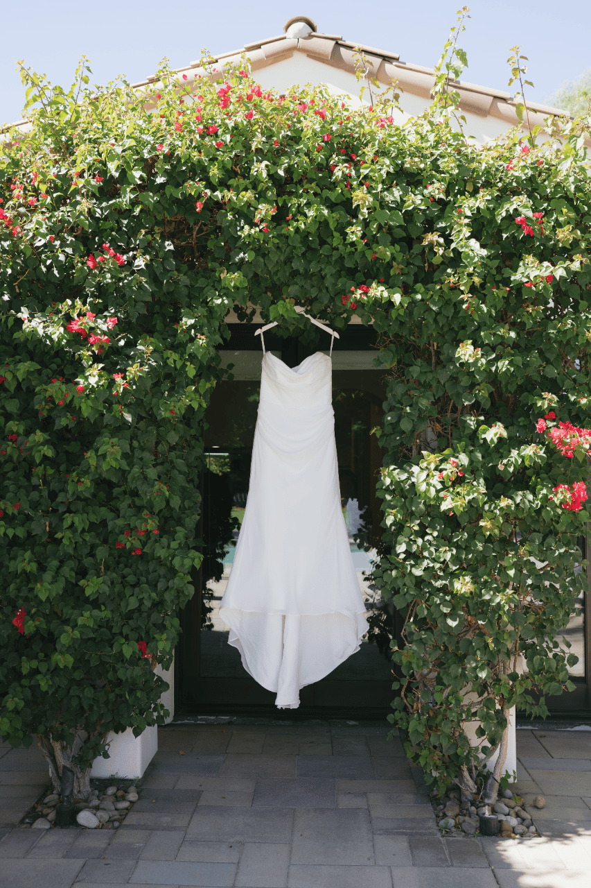 The gown displayed beneath cascading greenery, framed by soft desert light.