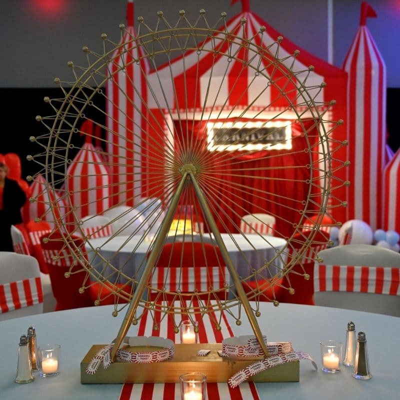 Party Perfect Event Rental portfolio 4