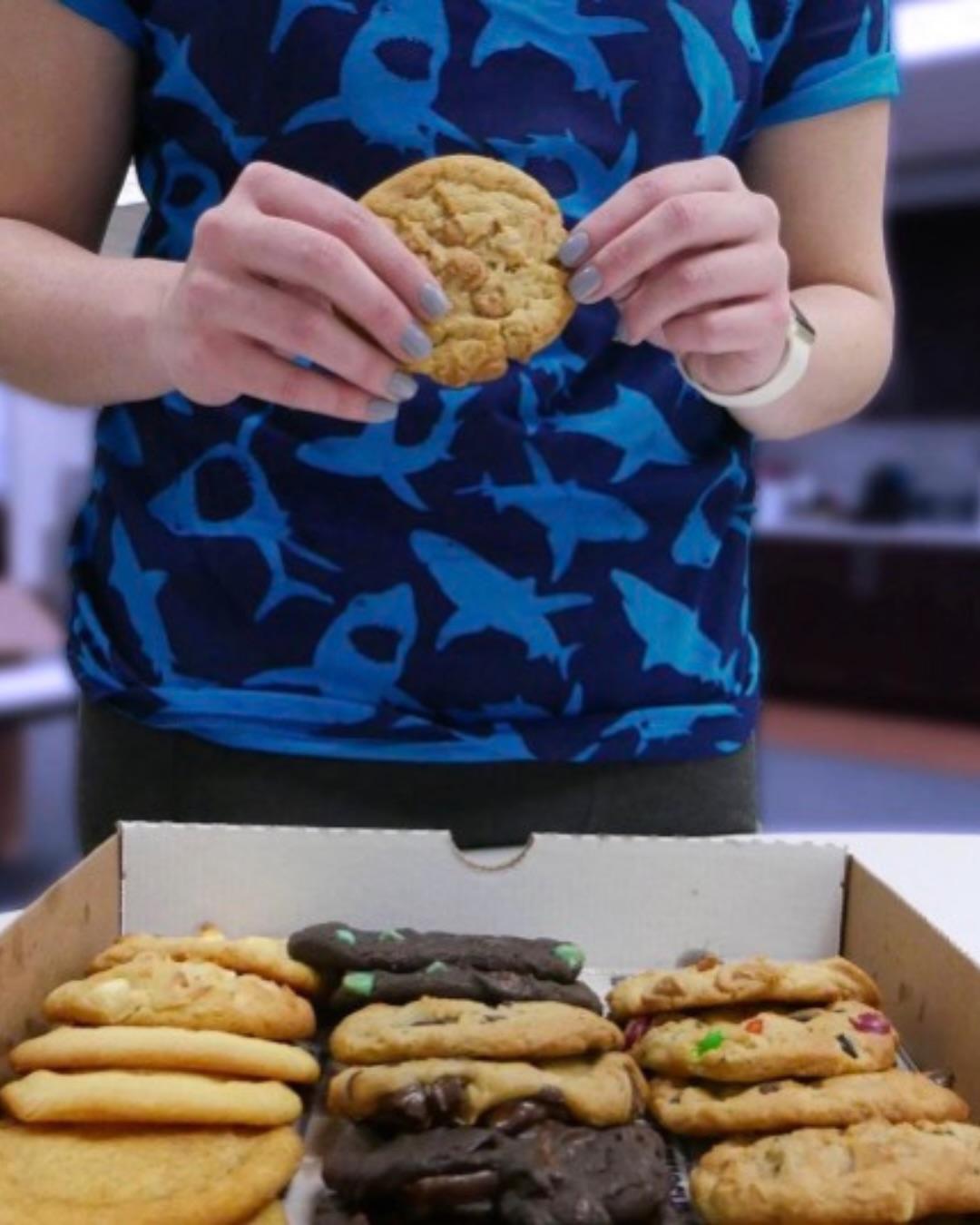 Insomnia Cookies portfolio 2