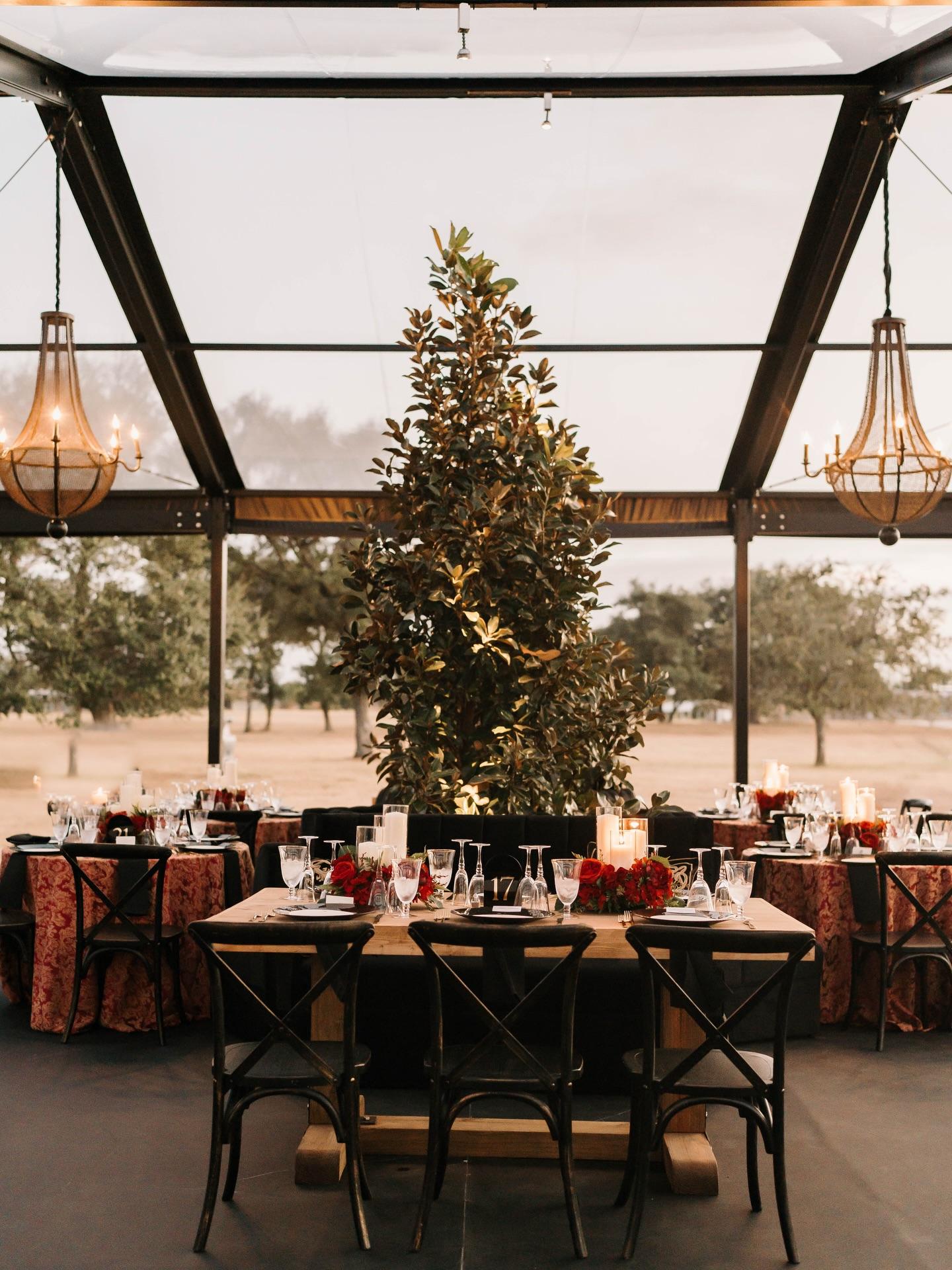 Houston Tents & Events portfolio 5