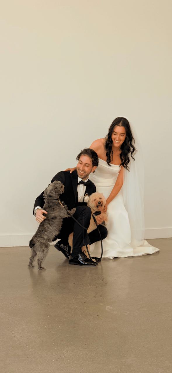 Sit. Stay. I Do. -- Dog Attendants/Chaperones portfolio 1