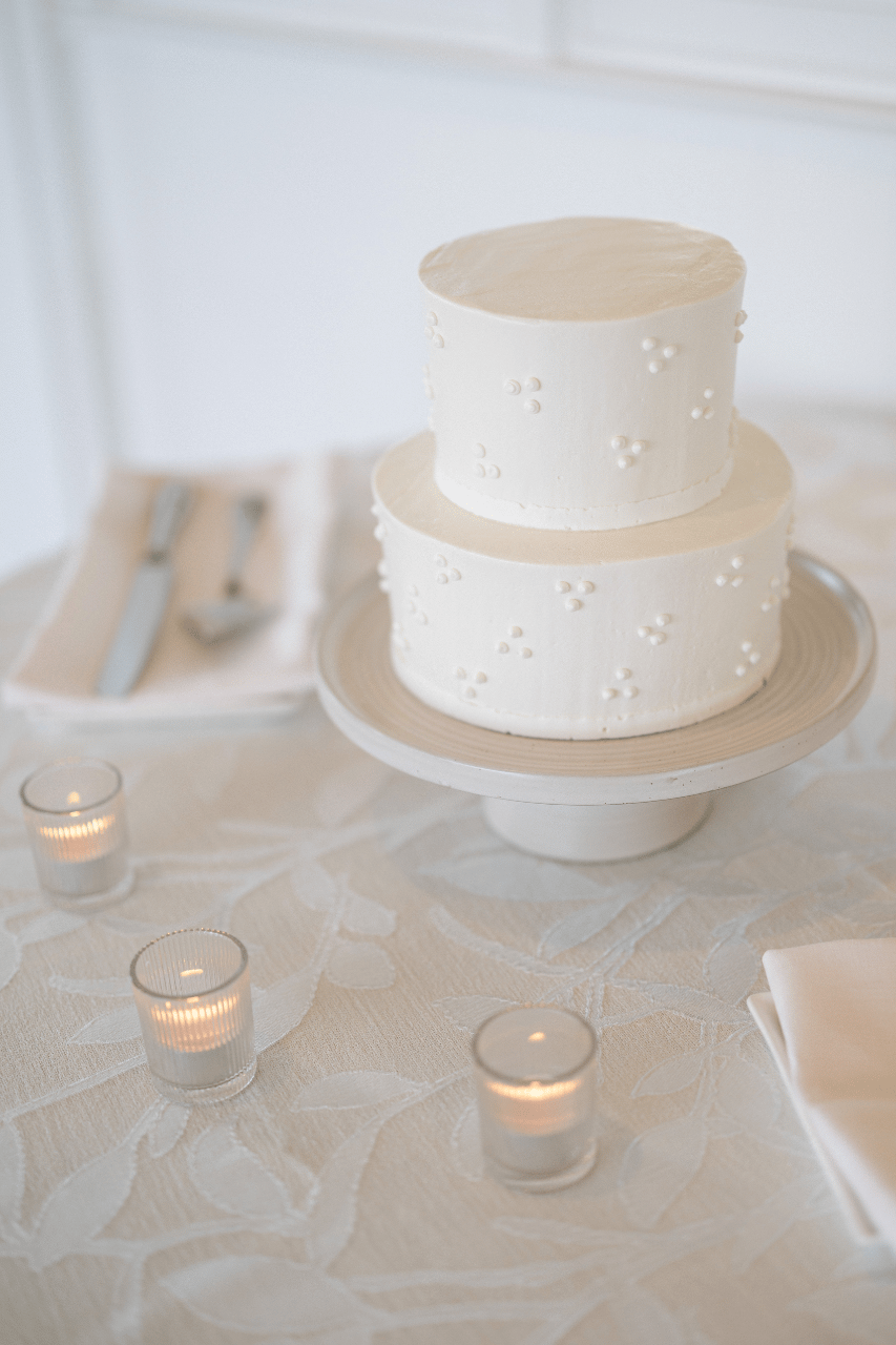 Paige DePaolo & Nic DePaolo's wedding-image-84