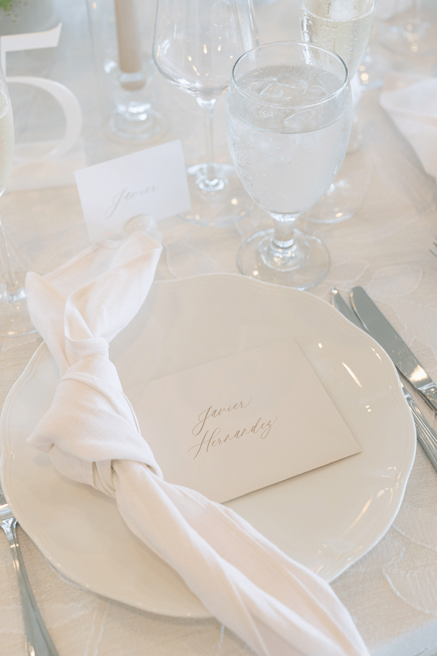 Paige DePaolo & Nic DePaolo's wedding-image-36