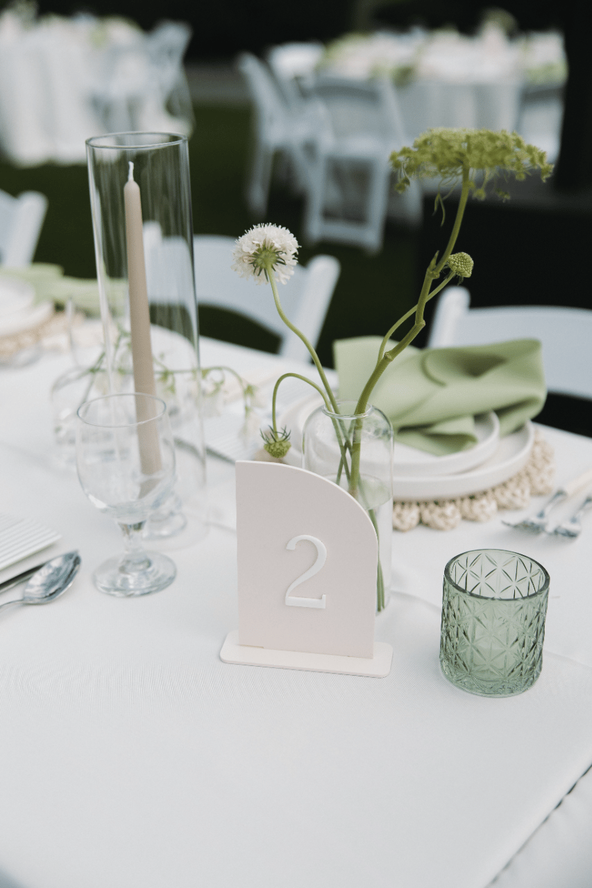 Kody Ver Velde & Jordan Ackerman's wedding-image-7