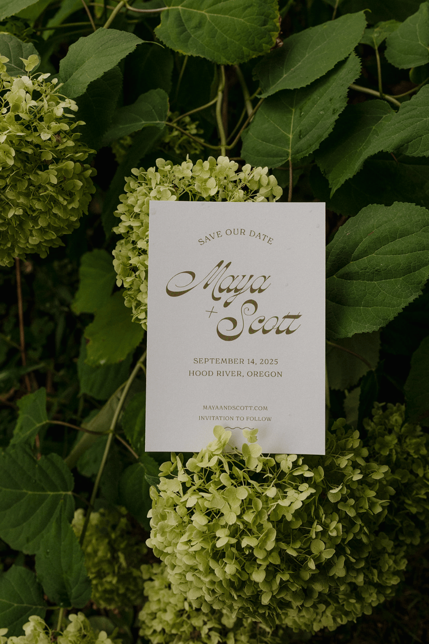 Maya Levitt & Scott Anthes's wedding-image-3