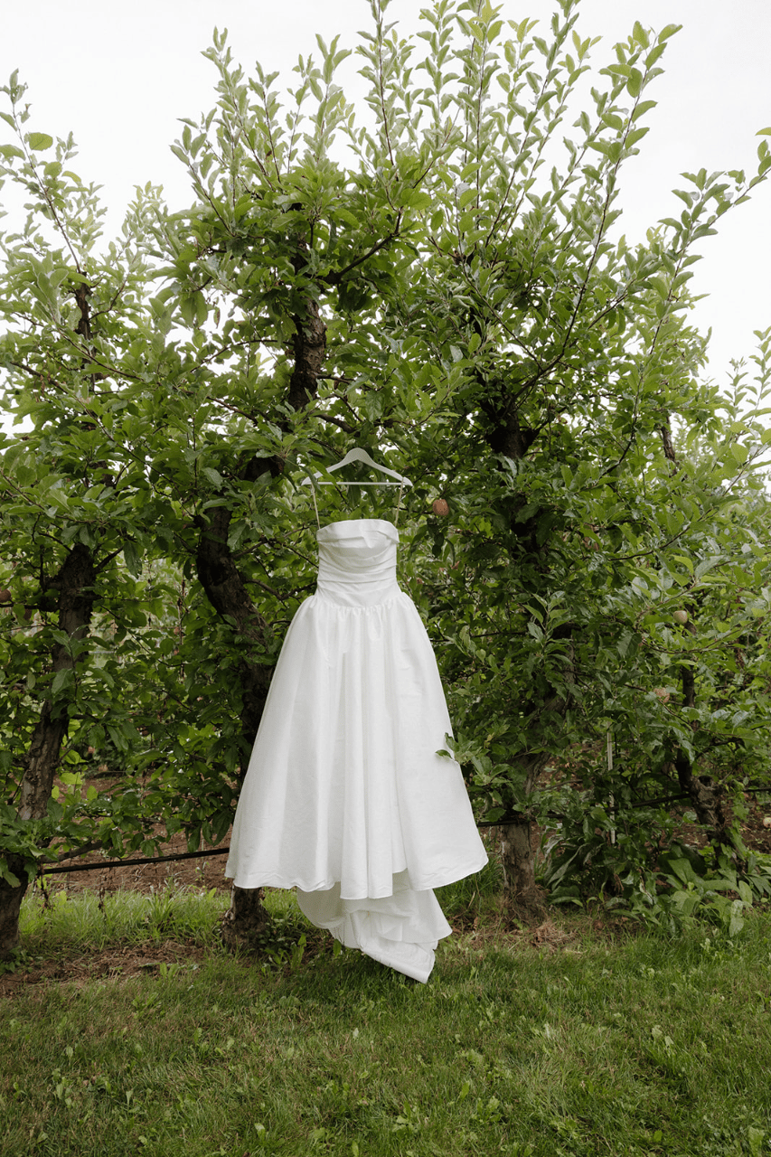 Maya Levitt & Scott Anthes's wedding-image-2