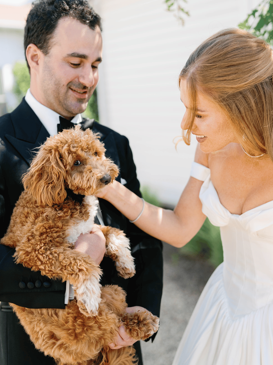 Megan Pooley & Max Goldberg's wedding-image-37