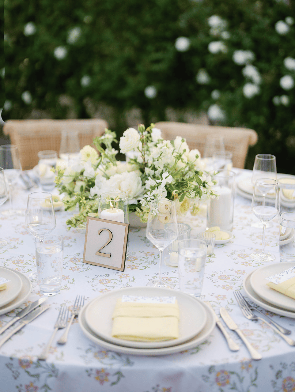 Megan Pooley & Max Goldberg's wedding-image-72