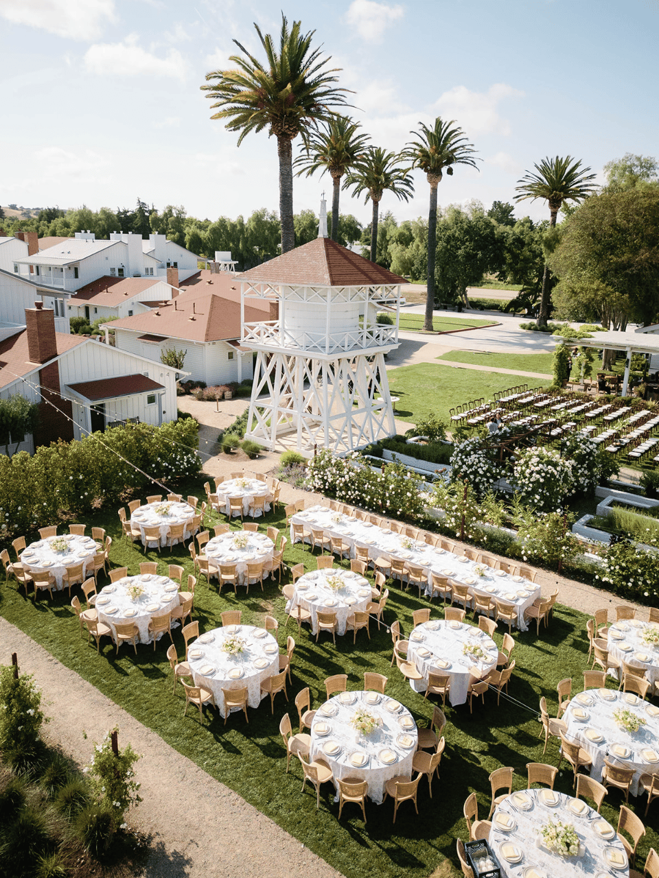 Megan Pooley & Max Goldberg's wedding-image-12