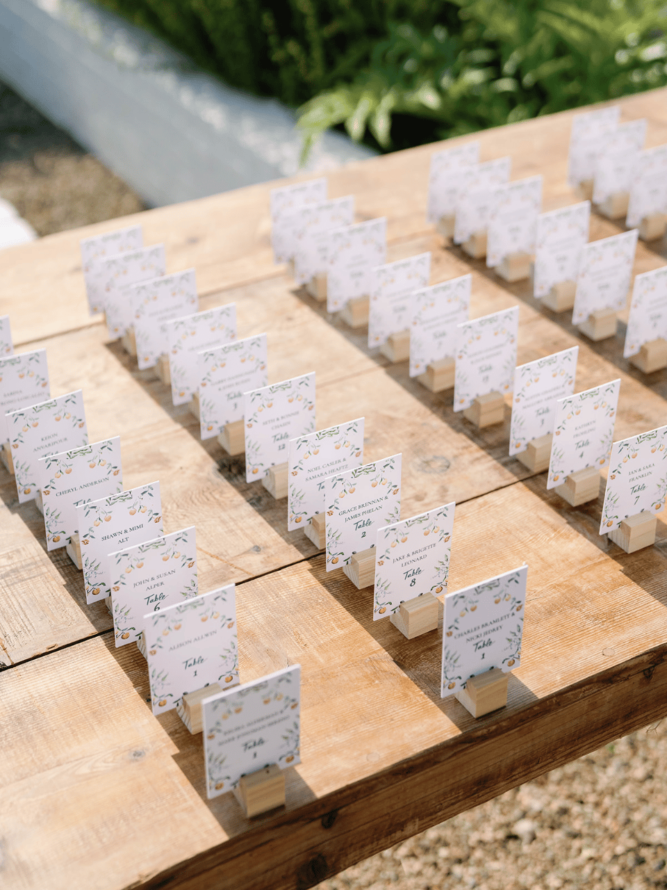 Megan Pooley & Max Goldberg's wedding-image-40