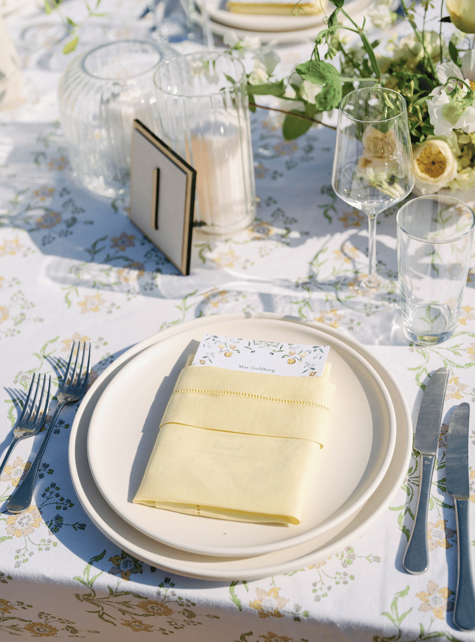 Megan Pooley & Max Goldberg's wedding-image-43