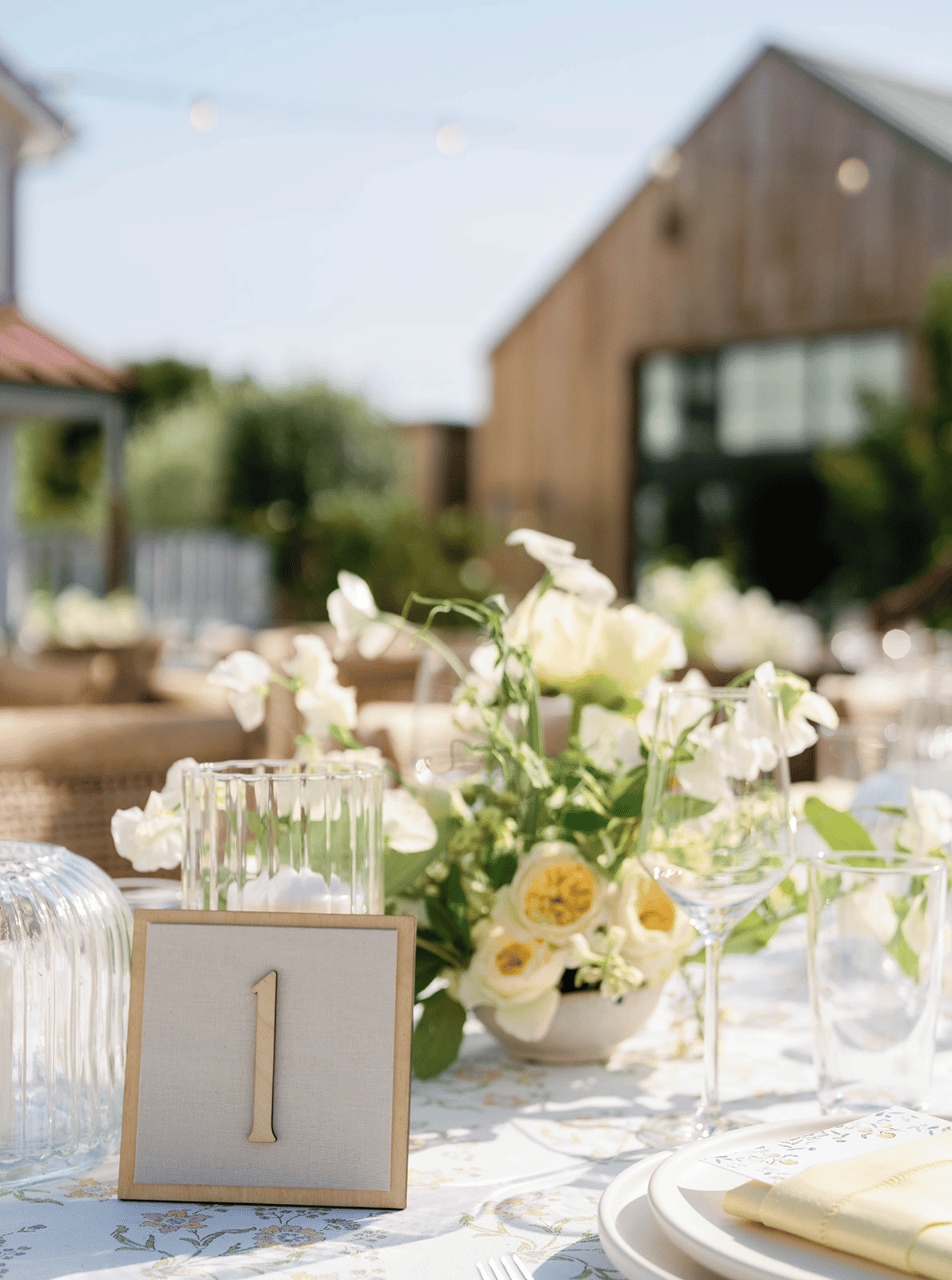 Megan Pooley & Max Goldberg's wedding-image-44