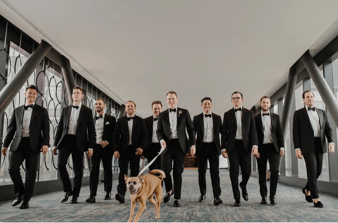 Paws to Plants Wedding Day Pet Care portfolio 1