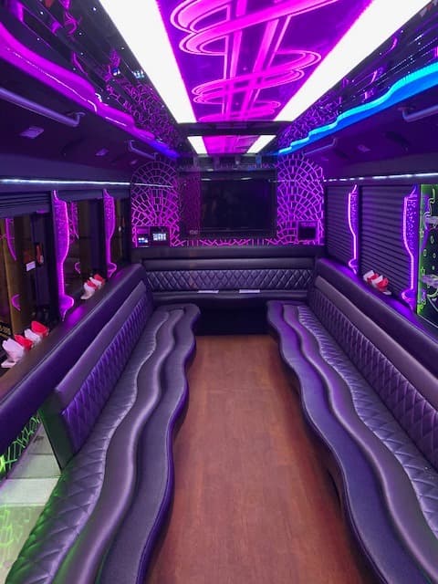 Giorgio's Limousines portfolio 1