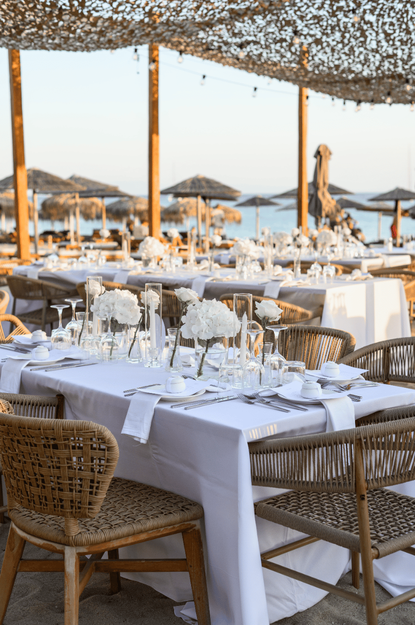 Kallia Matakia & Vasilis Balaskas's wedding-image-31