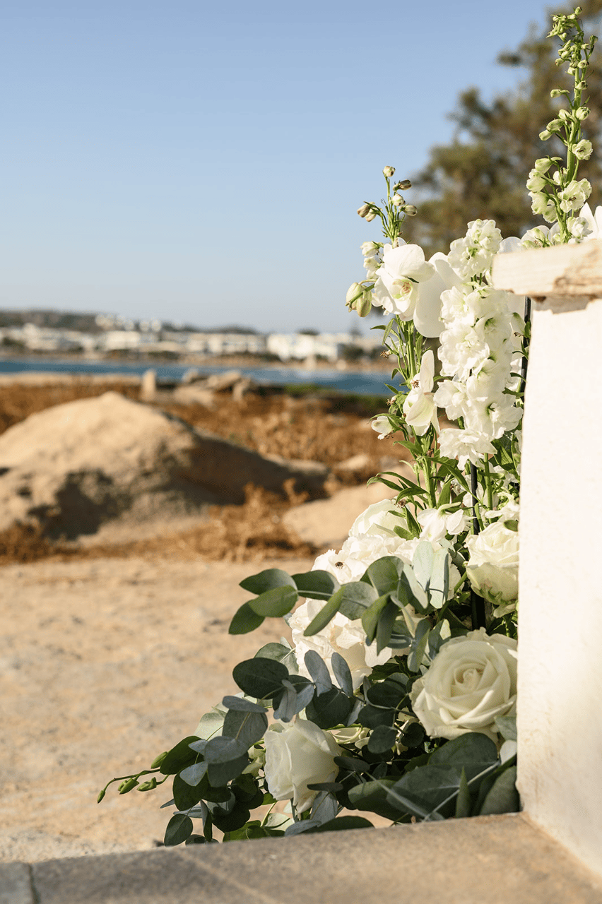 Kallia Matakia & Vasilis Balaskas's wedding-image-2