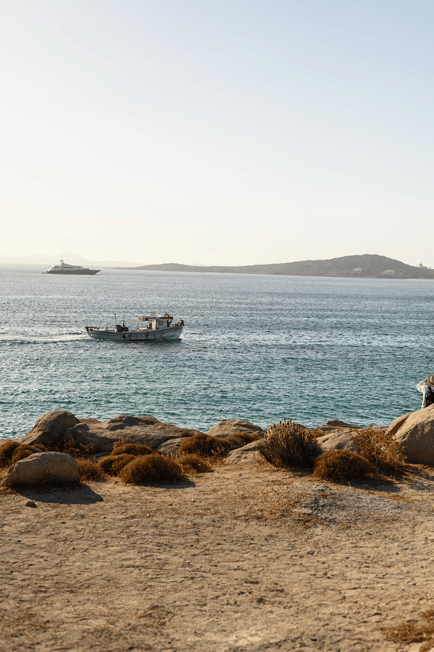 Kallia Matakia & Vasilis Balaskas's wedding-image-6
