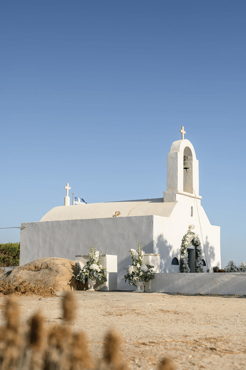 Kallia Matakia & Vasilis Balaskas's wedding-image-4