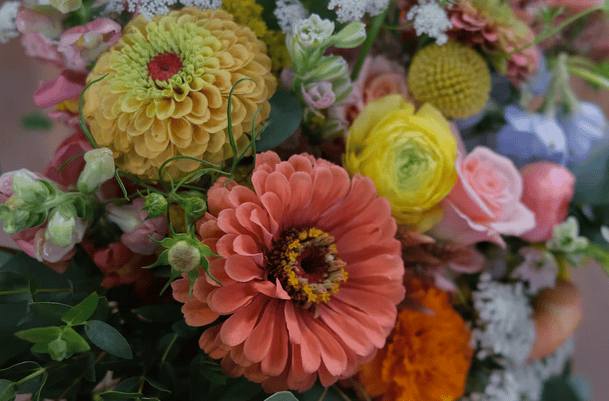 Michler's Florist portfolio 2