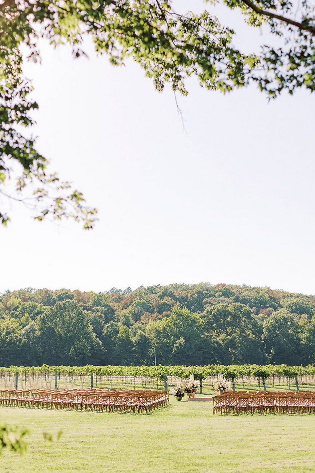 Rusty Tractor Vineyards