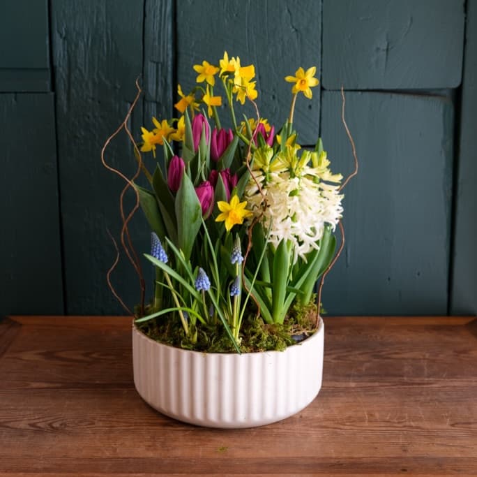 Michler's Florist portfolio 1