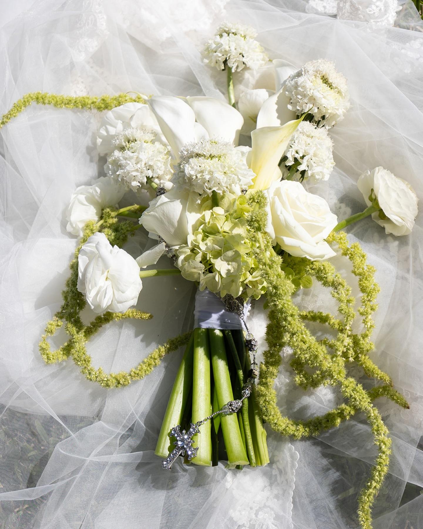 Poppy portfolio 1