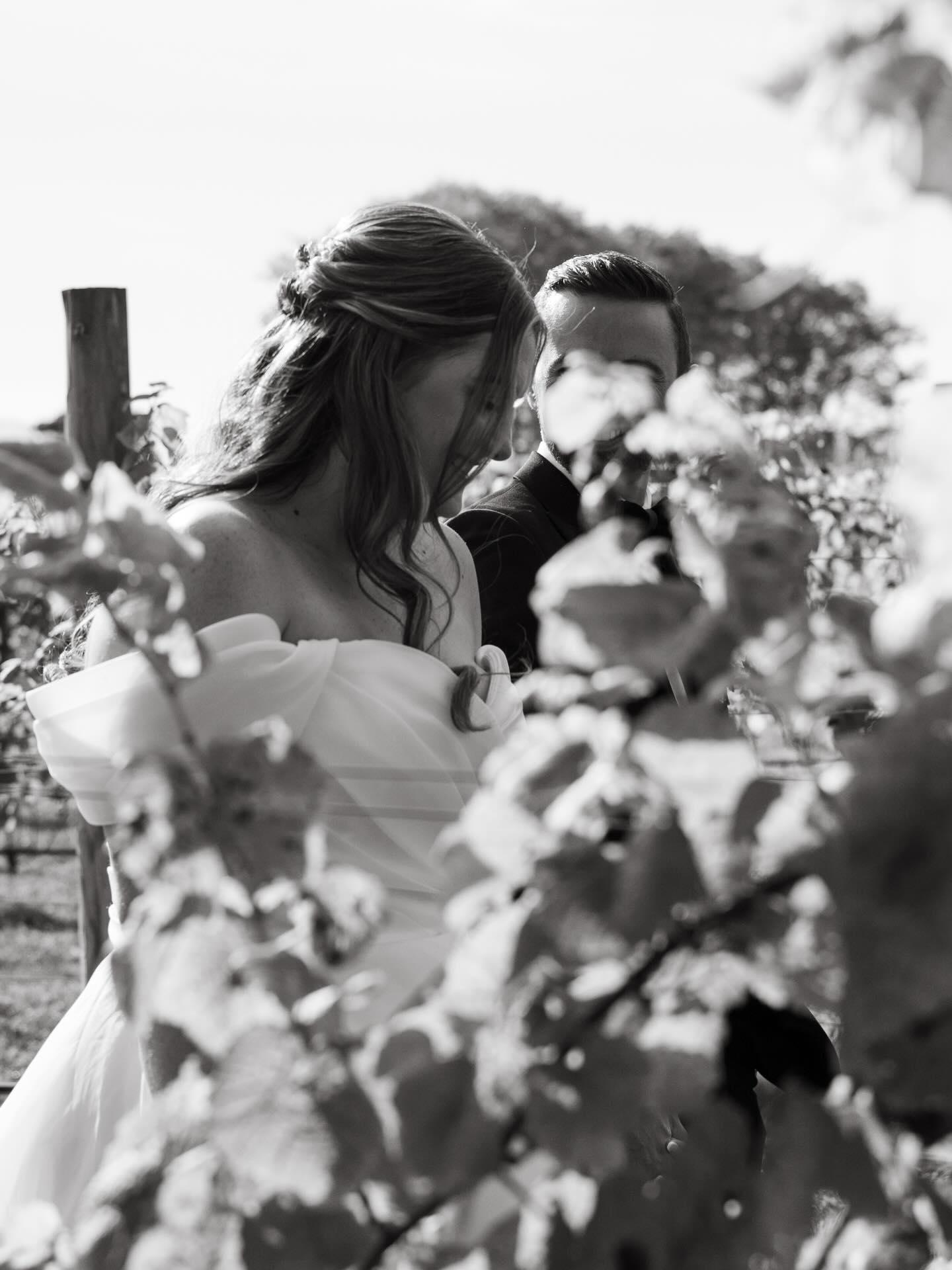 Nia Kovacev Photography portfolio 1