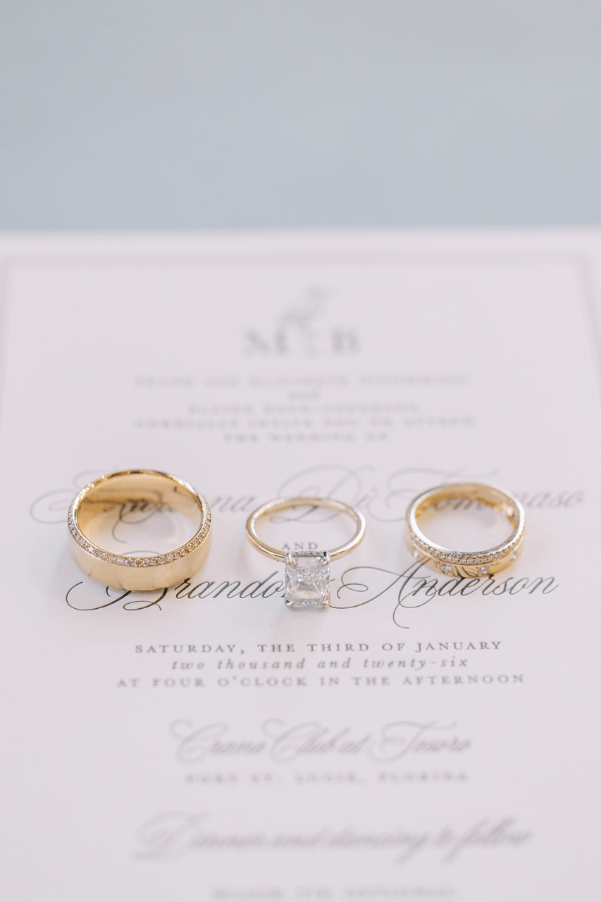 Mariana Anderson & Brandon Anderson's wedding-image-2