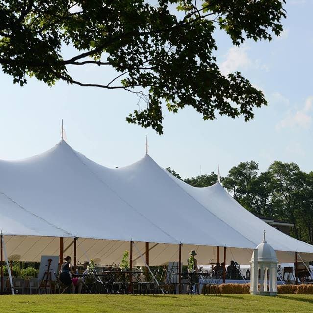 Morris Tent and Event Rentals portfolio 3