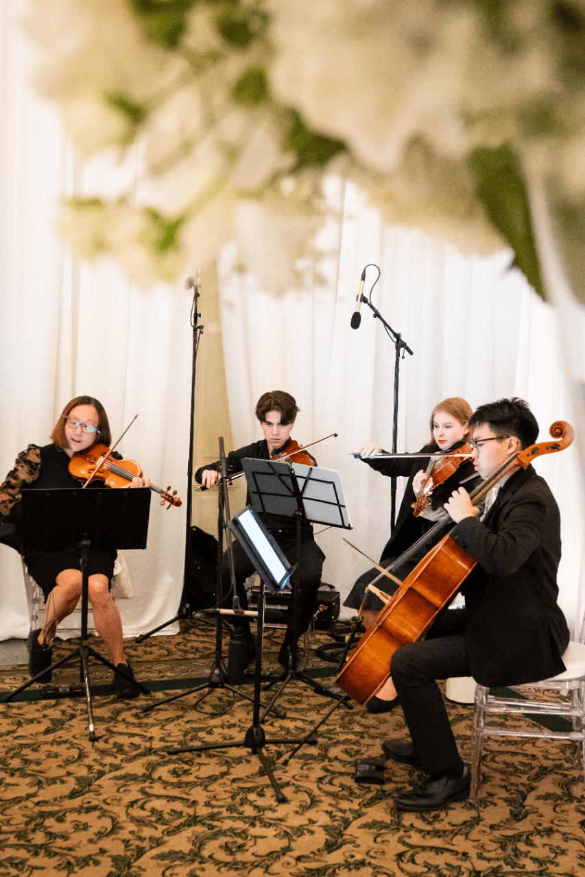 Serenata Strings