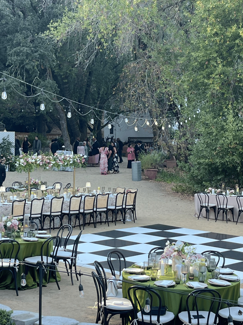 Tatiana Calvillo & Isaac Calvillo's wedding-image-15