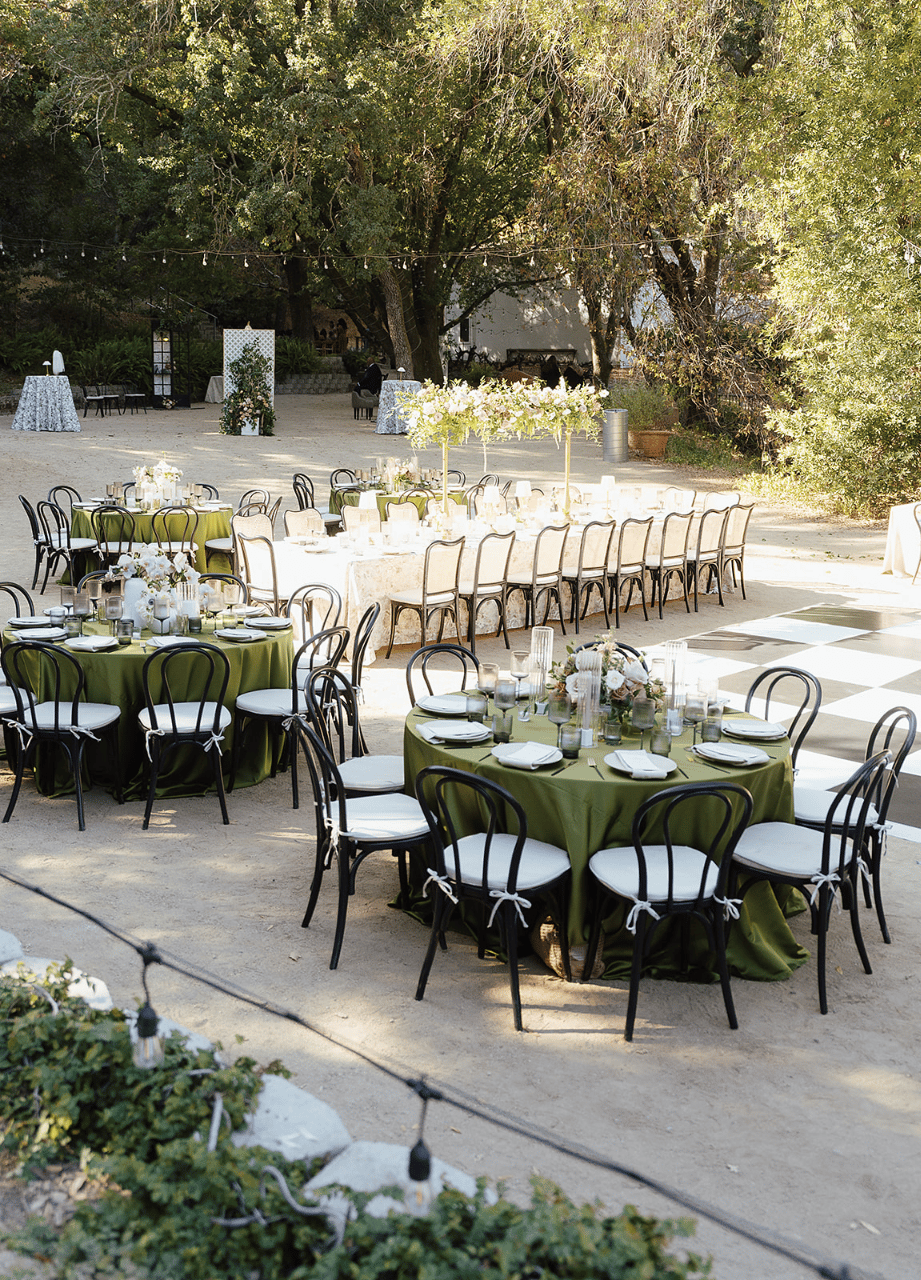Tatiana Calvillo & Isaac Calvillo's wedding-image-27