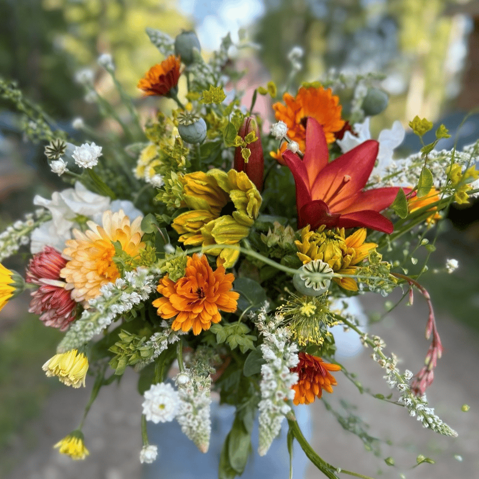Calypso Floral portfolio 5