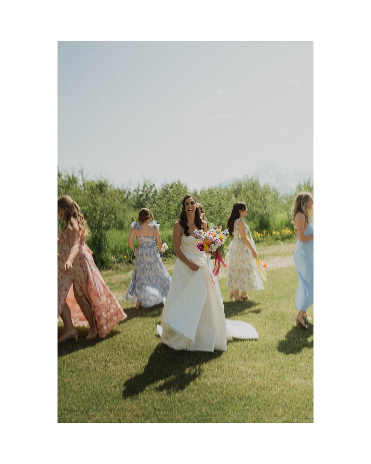 Wild Rose Weddings & Events portfolio 3