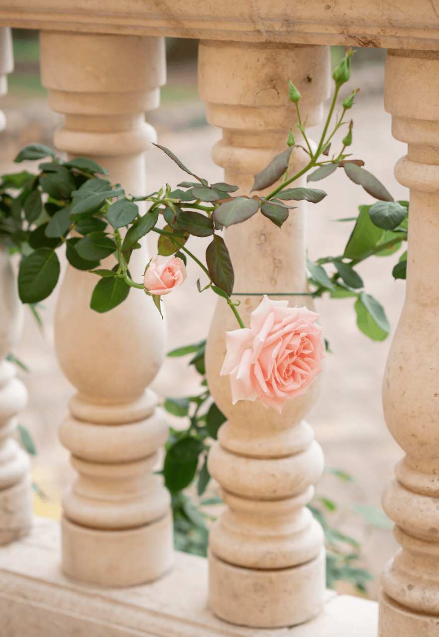 Tessa Davidson & Tal Davidson's wedding-image-11