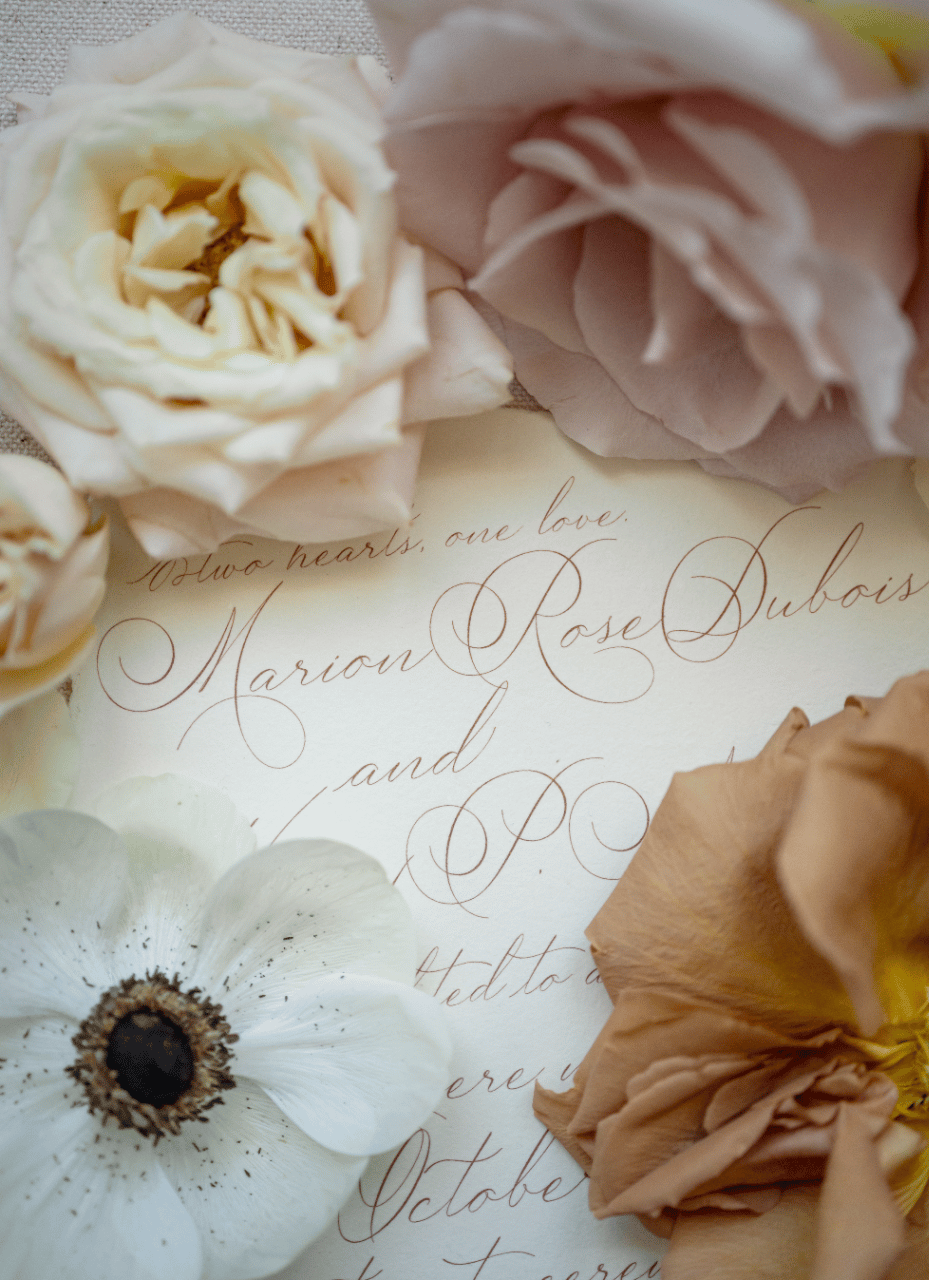 Tessa Davidson & Tal Davidson's wedding-image-63