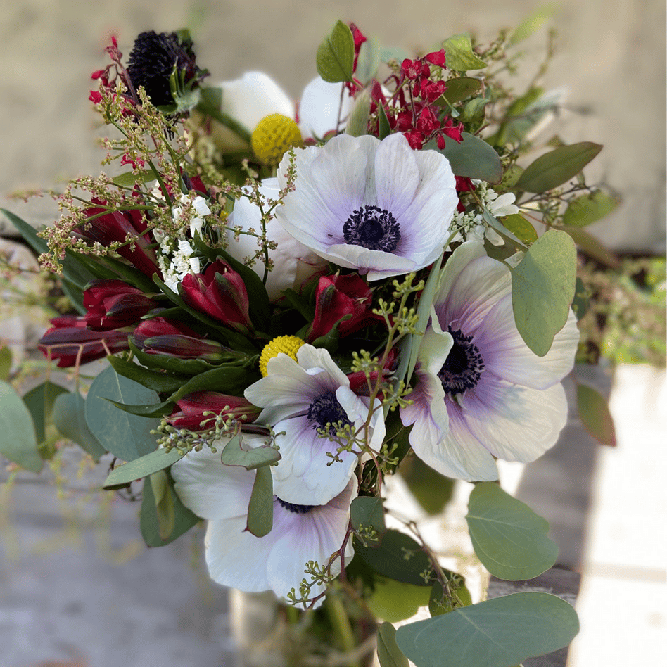 Calypso Floral portfolio 4