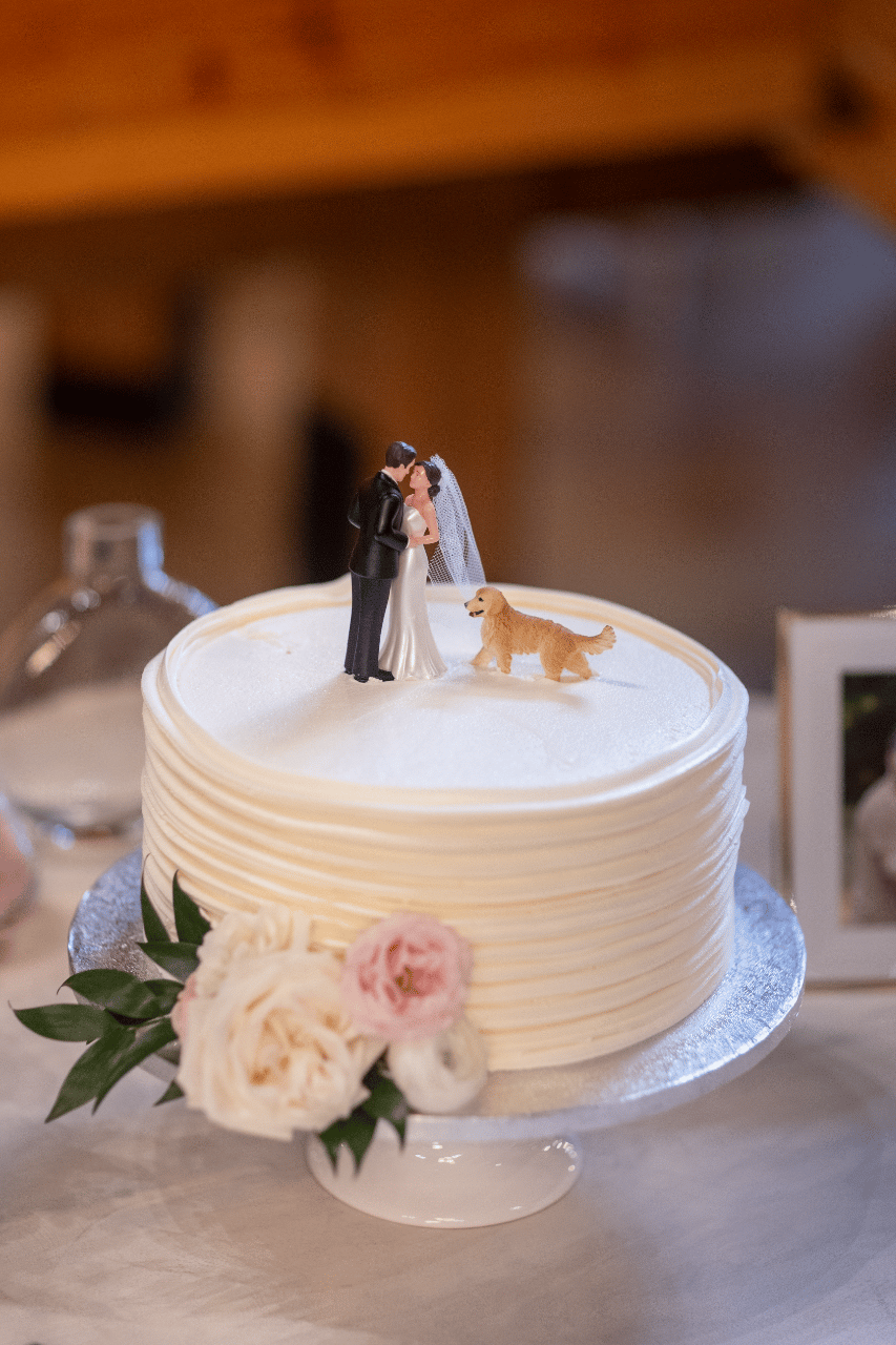 Emma Milstead & Luke Sennett's wedding-image-66