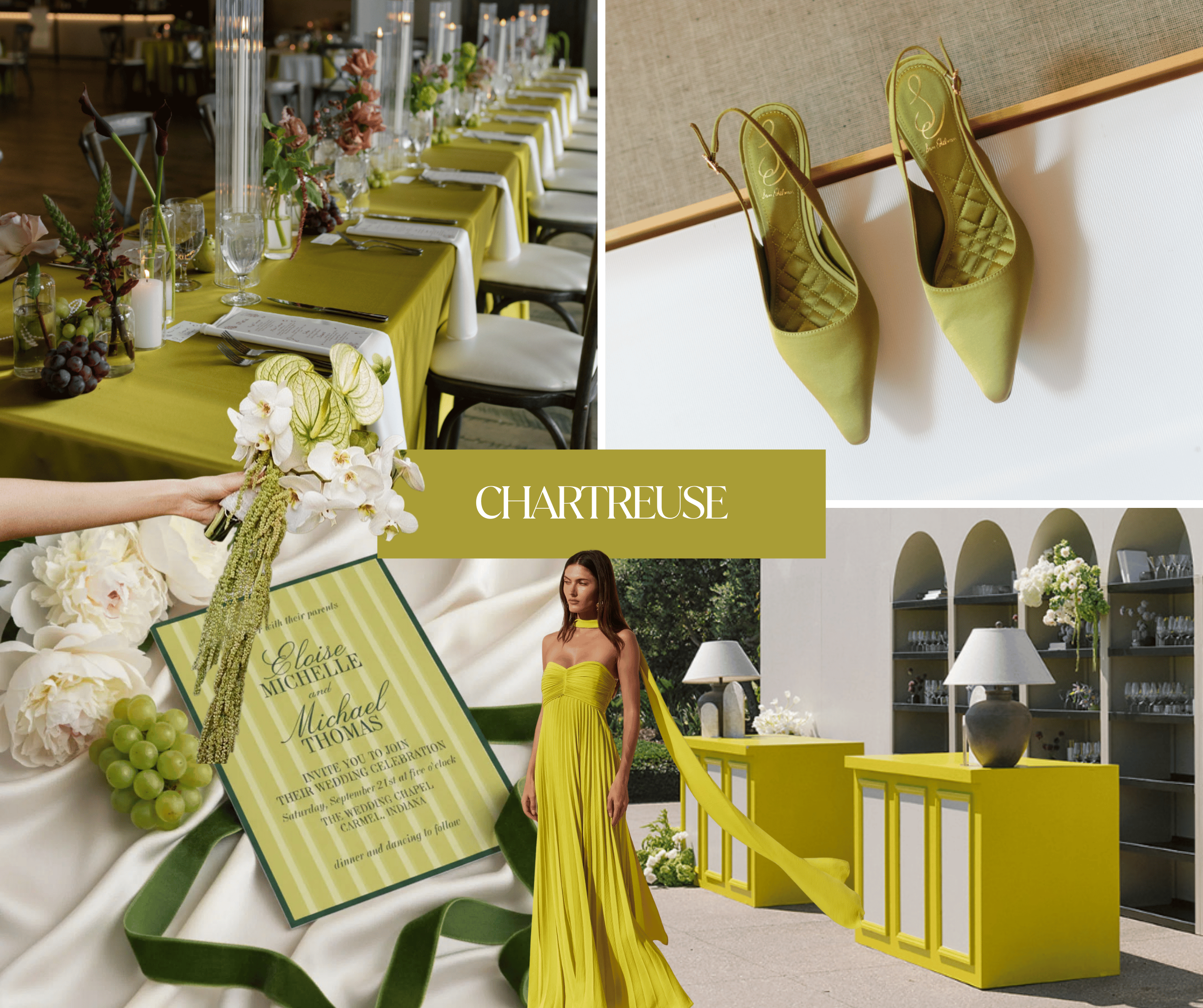 1. Gracie Wilson Photography / 2. Madison Cotten Photo / 3. Zazzle / 4. Mashaida