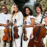 PLAY String Quartet