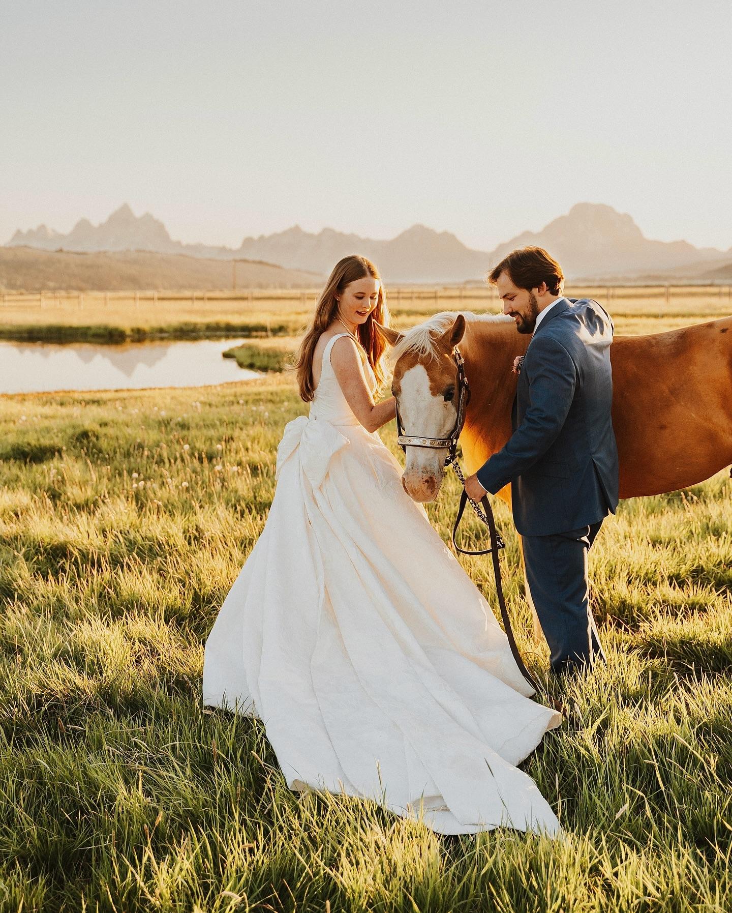 Sarah Penny Photography