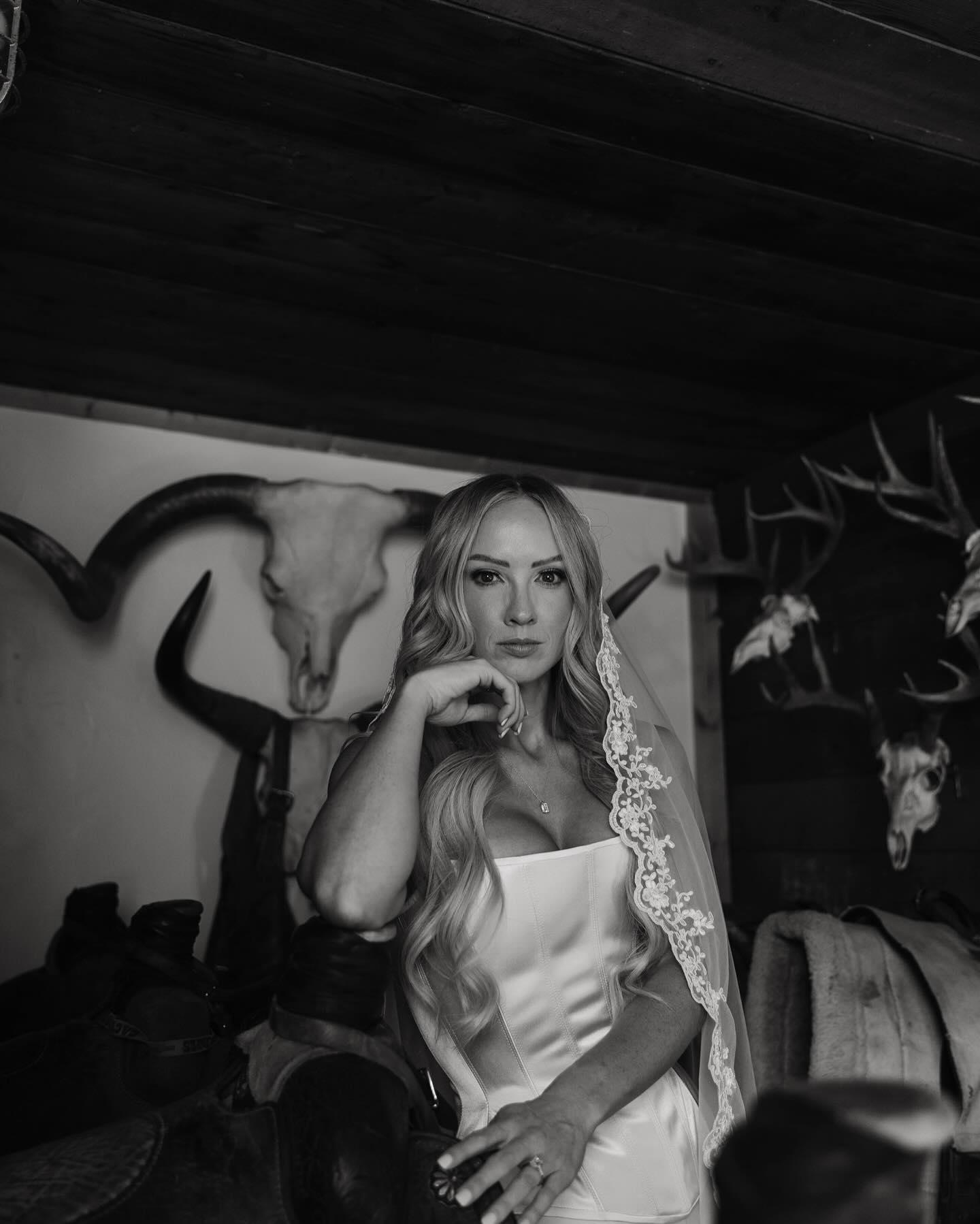 Wild Sage Photography portfolio 3