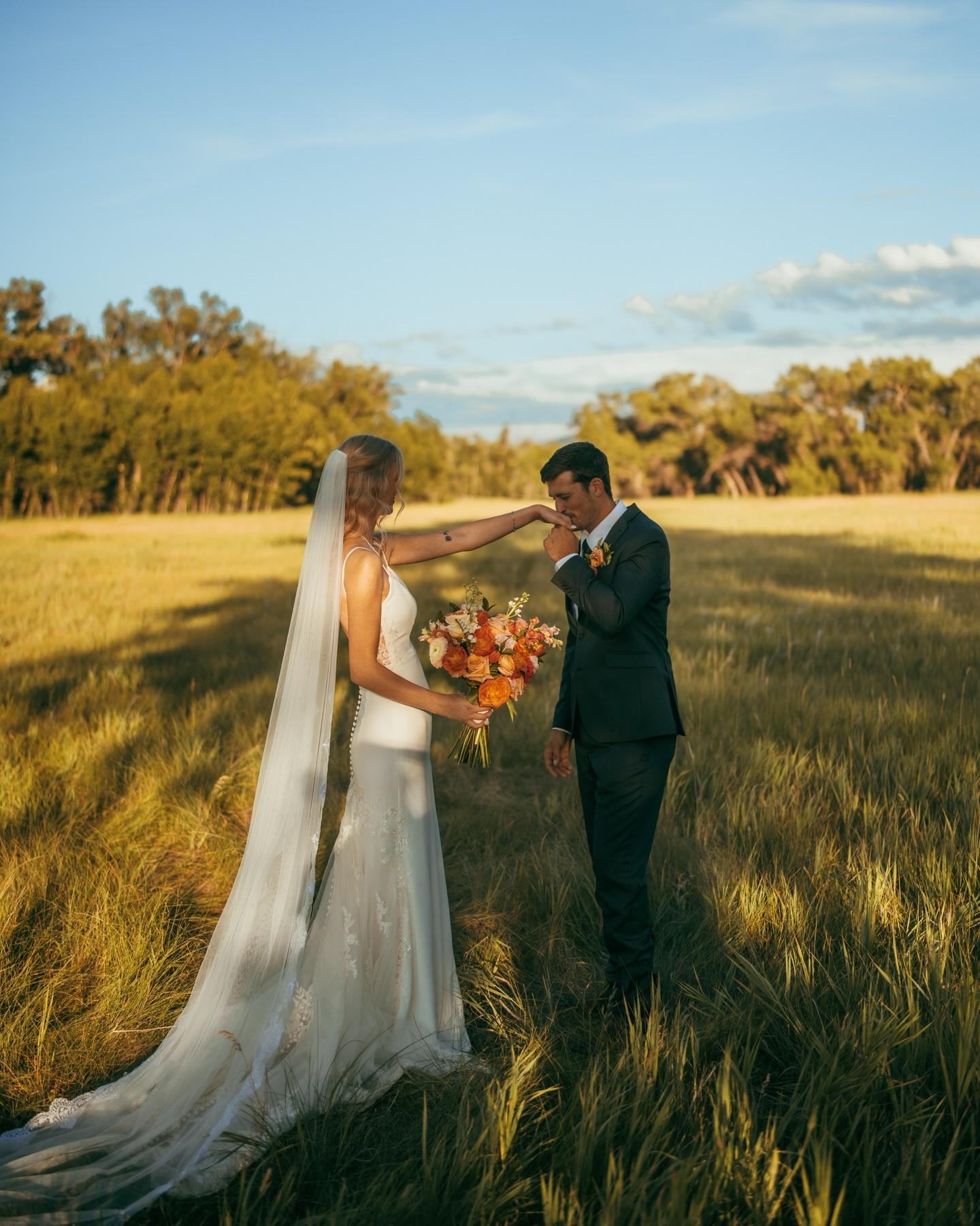Curated by Crystal portfolio 4