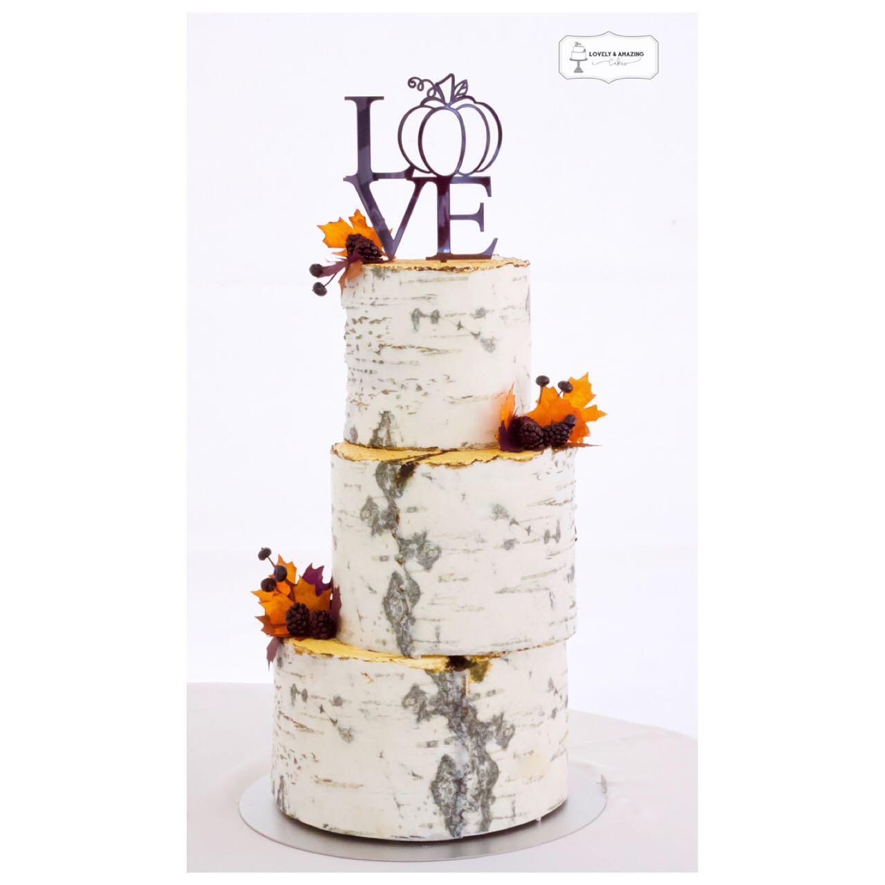Lovely & Amazing Cakes portfolio 3