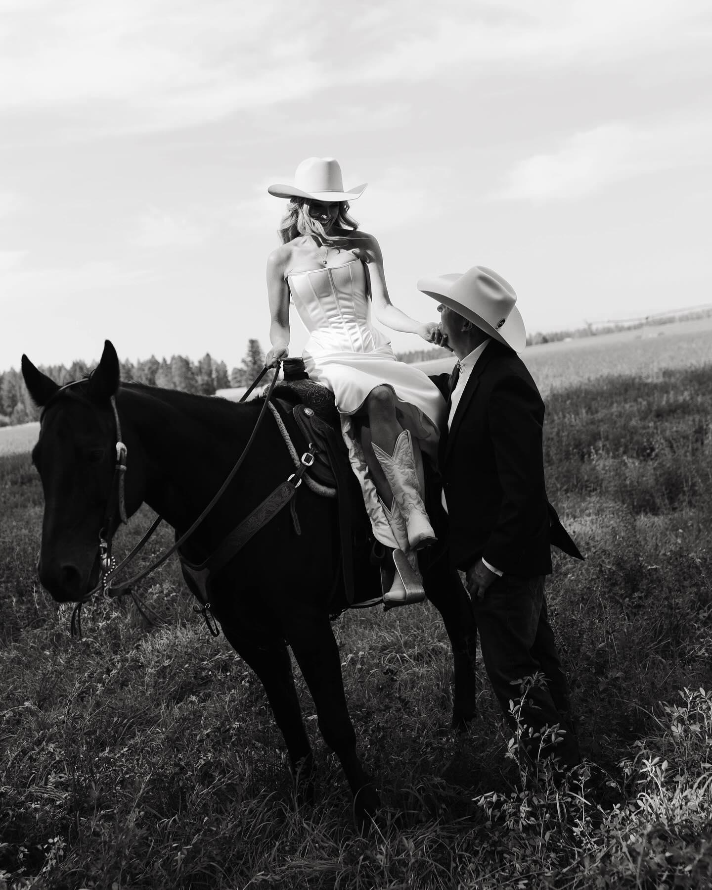 Wild Sage Photography portfolio 4