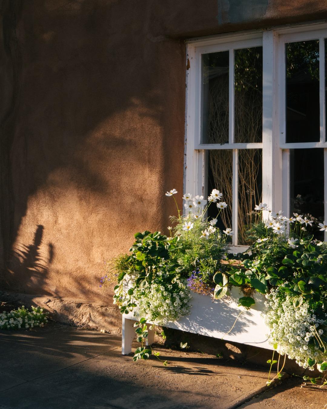 Rosewood Inn of the Anasazi portfolio 1