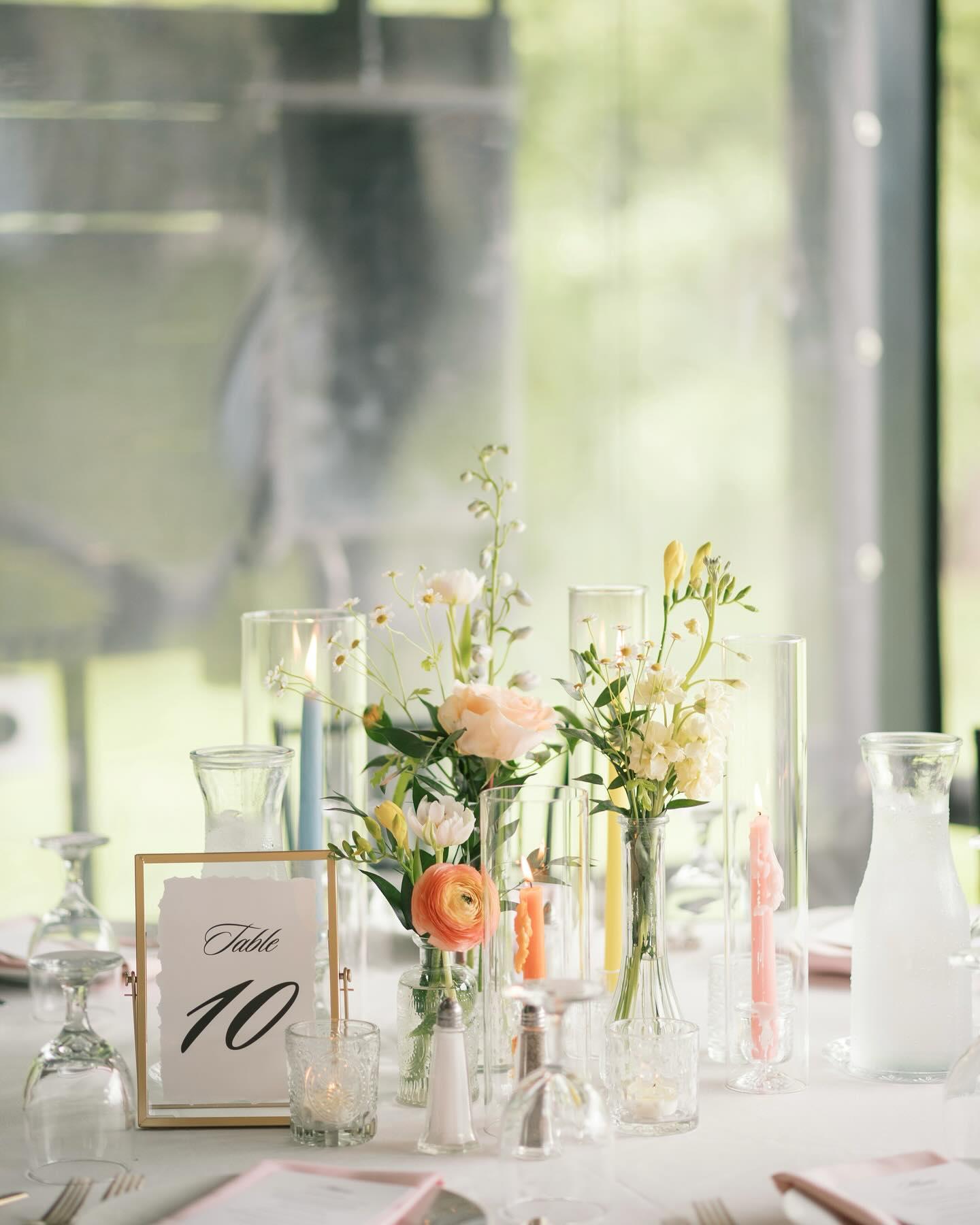 Laina Elizabeth Events portfolio 3