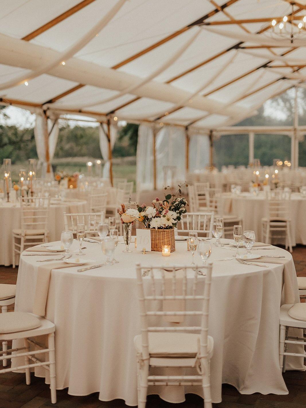 Laina Elizabeth Events