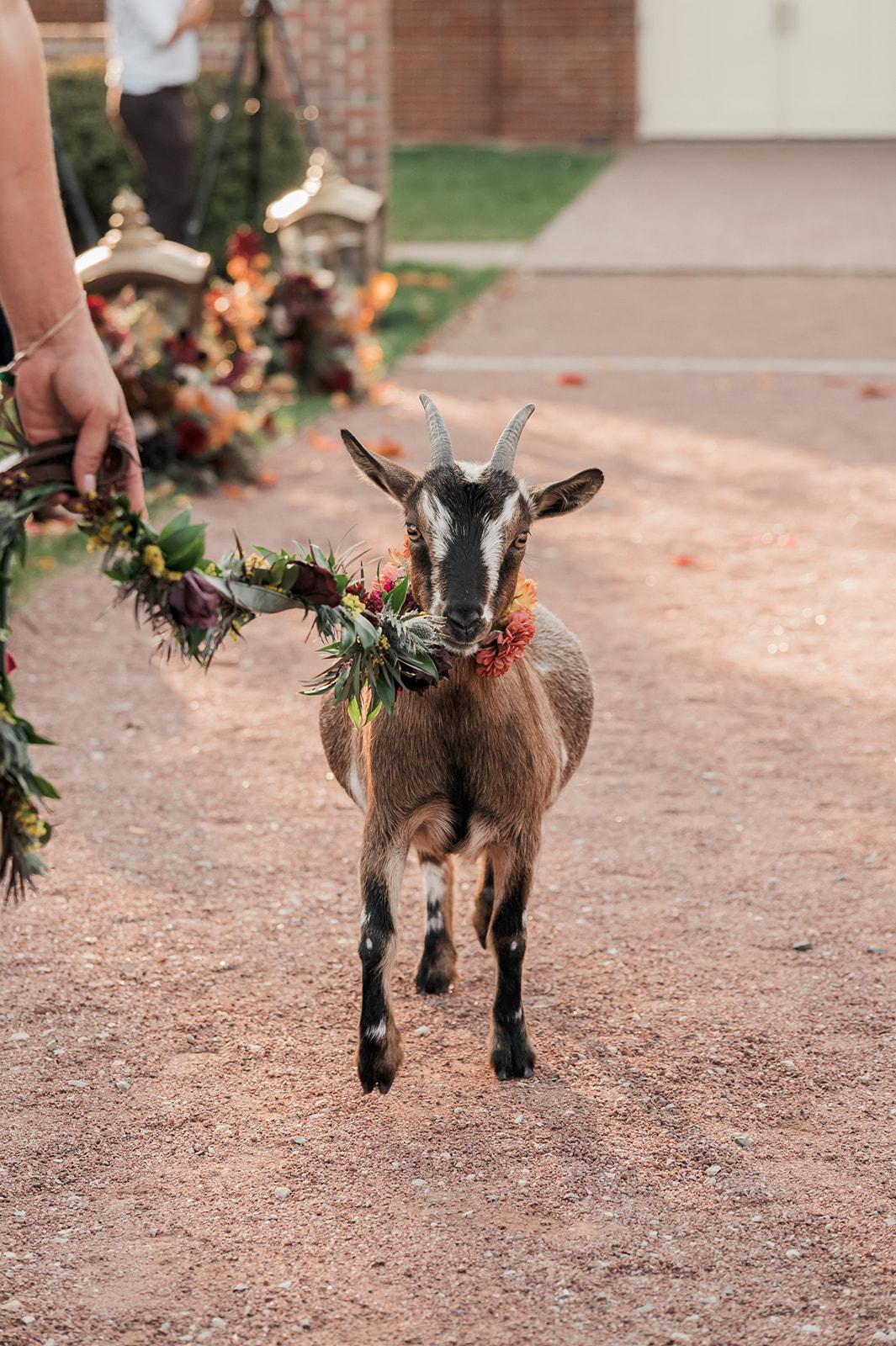 A Boho Fall Wedding at Elawa Farm 17
